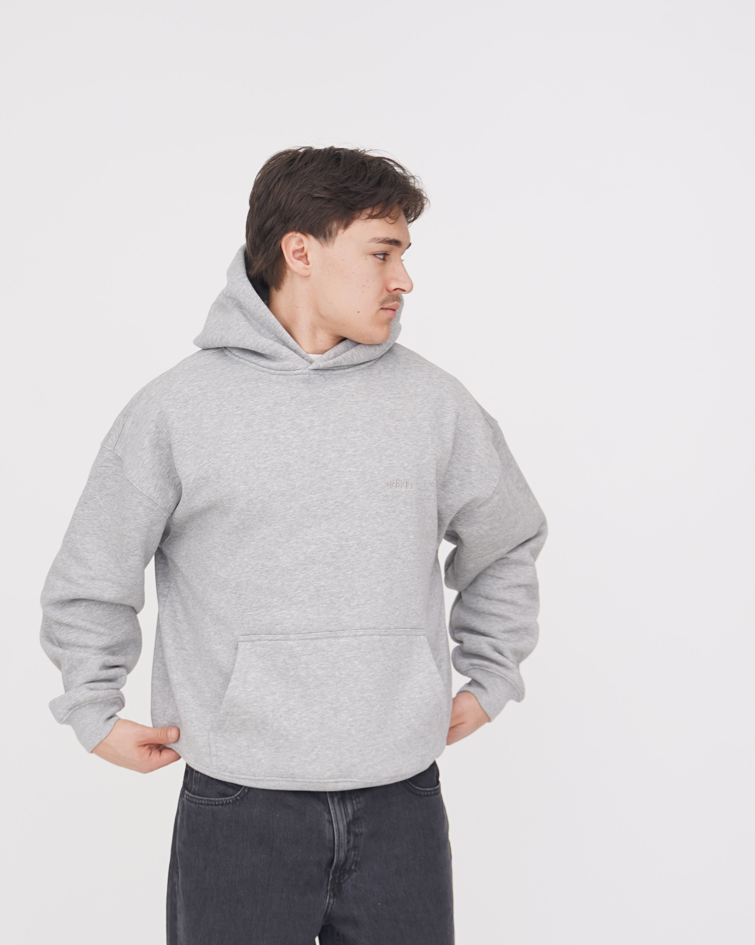 Hoodie Tone Gris